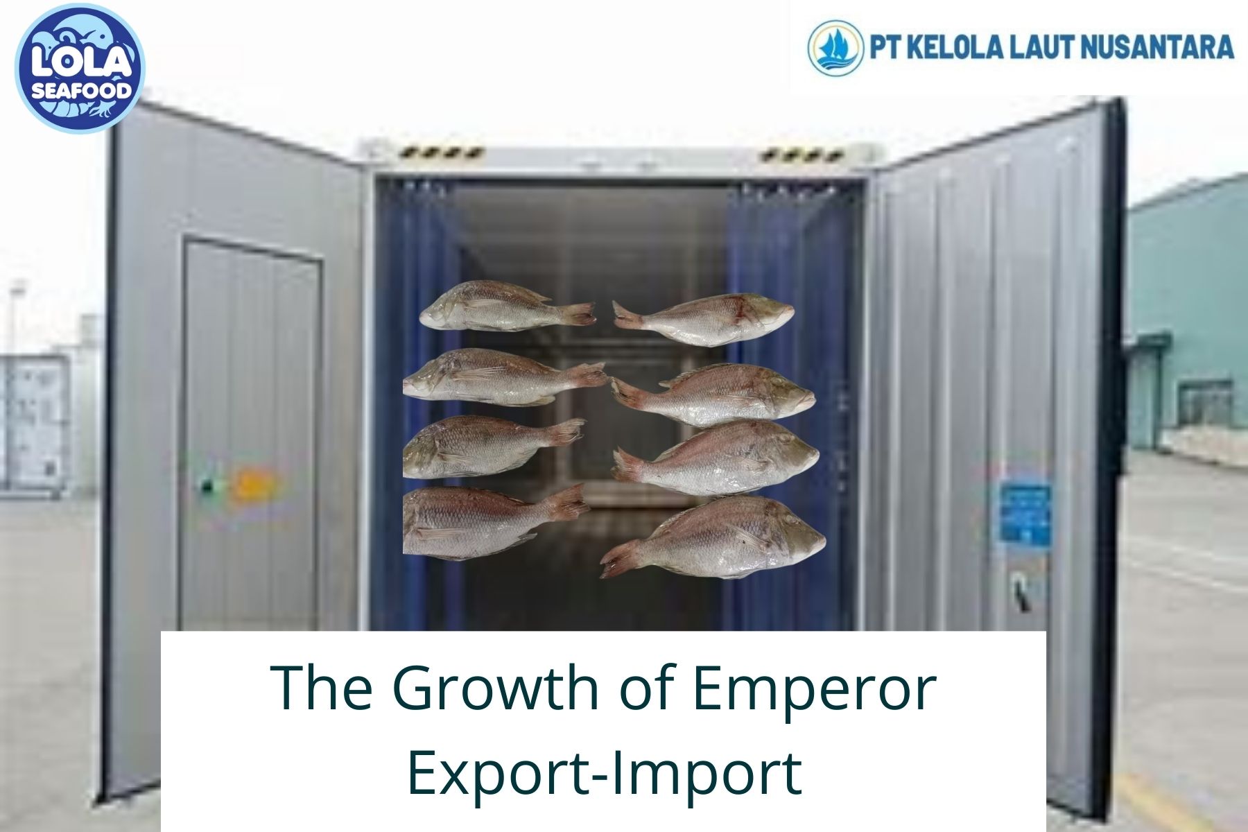 Here are The Growth of Emperor Export-Import Business Worldwide